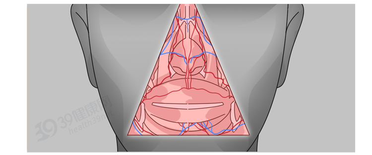 脸上的“危险三角区”，具体指哪里？为啥不能随便挤？涨知识了
