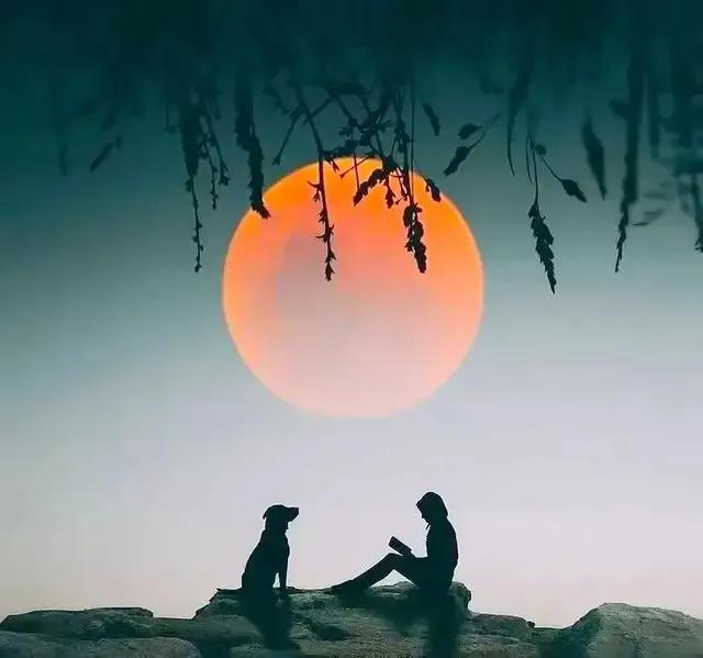 光和影的唯美的句子_晶羽科技