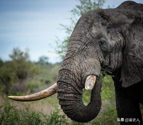 中国大妈身价千万惹众怒，在非洲被判15年，国人却拍手称快