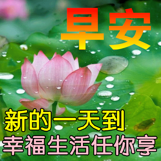 6月7日最新早上好日常祝福语大全，早晨好日常问候语录新版