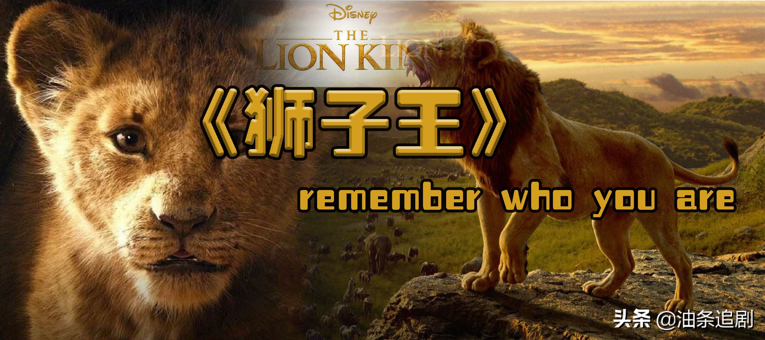 狮子王电影剧情有何变化「详细介绍」 _晶羽科技