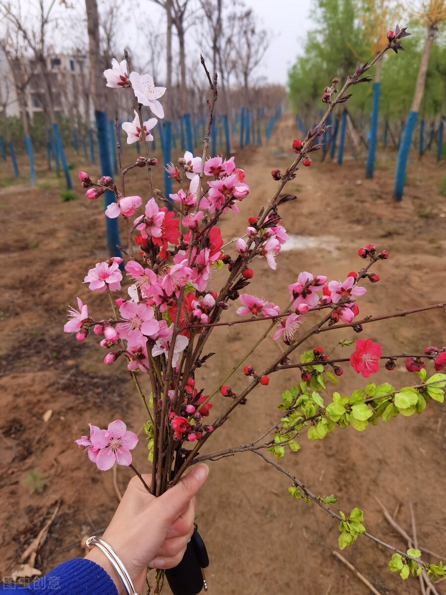 韶华易逝，莫负流年，这几首诗词当我们真正读懂时，泪流满面