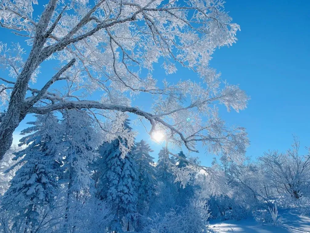 登高眺远景秘境身心愉冬日，来一场任性的雪山游