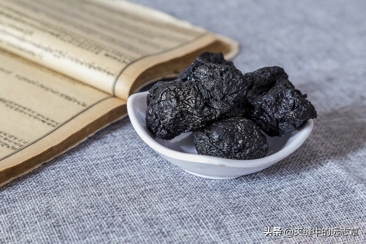人还未老，腰已先老？四味中药，阴阳双补，送给腰酸背痛的你