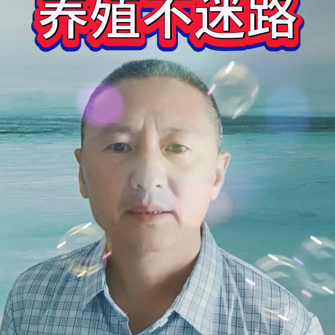 鸭蛋价格今日价格老鸭「鸭蛋价格今日价格多少」