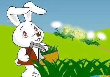 雨后的小故事动态原版简短 _飞翔号