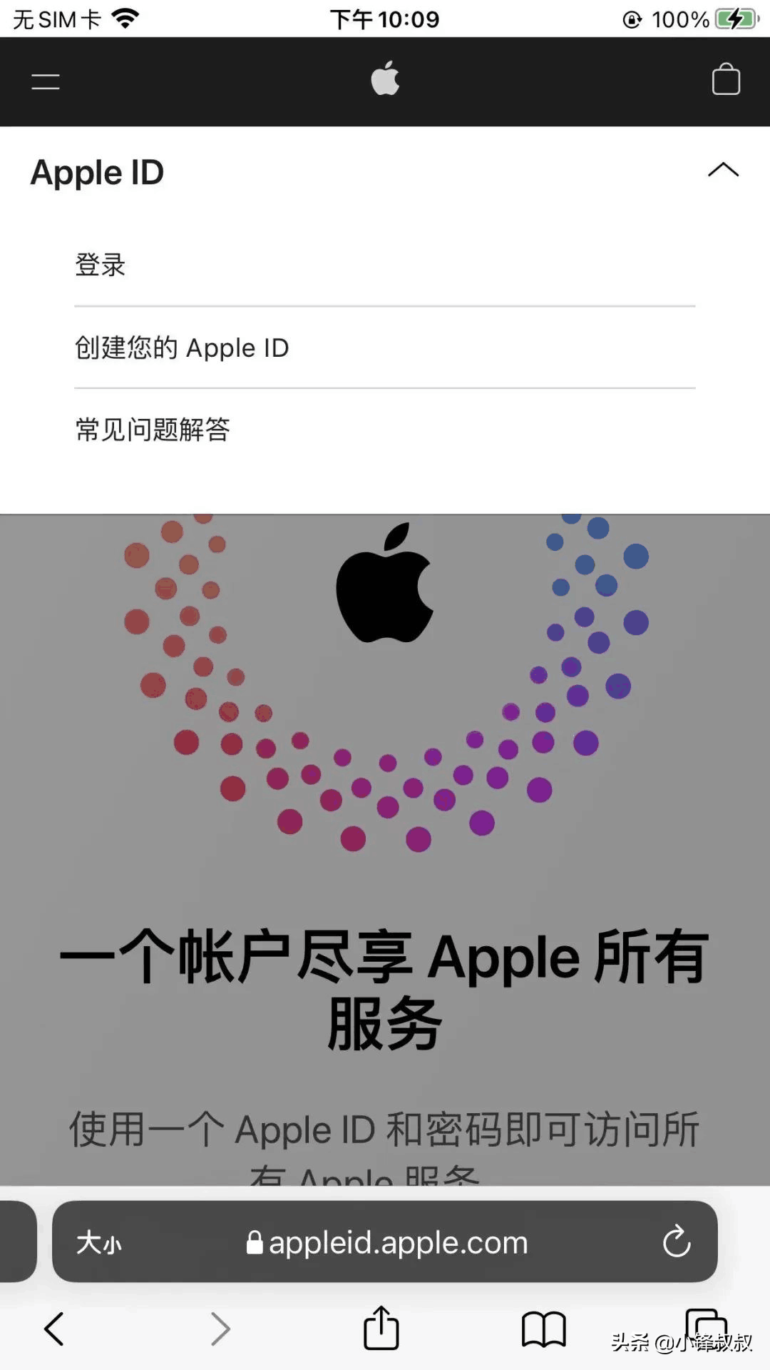 教程 | 如何注册外服苹果AppleID