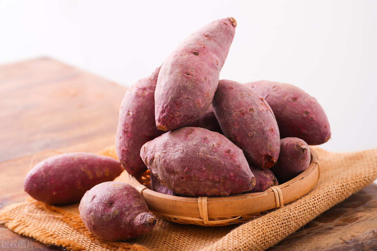 地瓜是不是红薯(北方地瓜是不是红薯)_软猪手游网