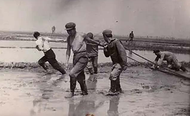 20岁重庆知青娶31岁带4娃寡妇，放弃返乡留山沟，婚姻幸福美满