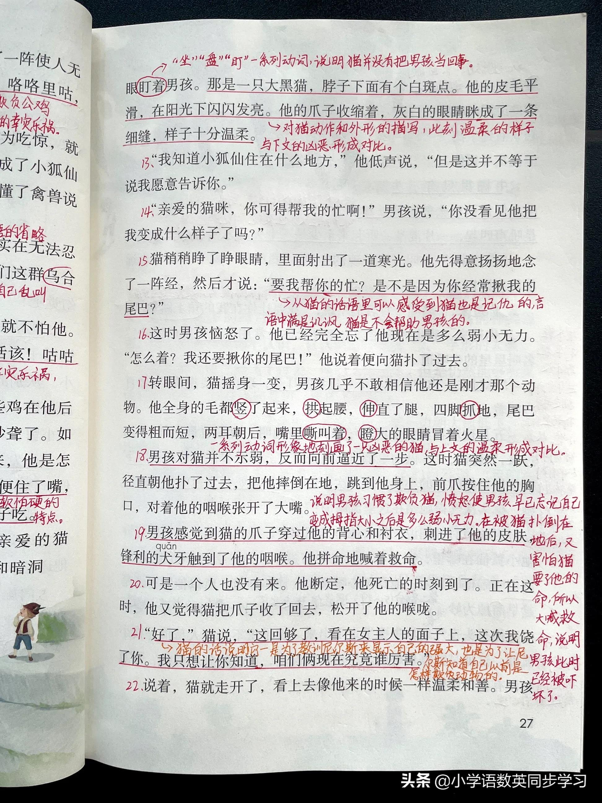 小学语文六年级下册第6课《骑鹅旅行记（节选）》教师笔记