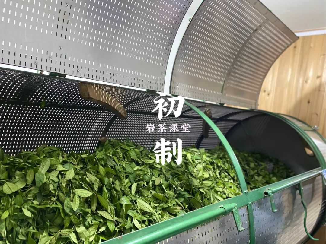 岩茶里，肉桂怎么区分好坏？听听老茶客的实话，都是踩坑后的血泪