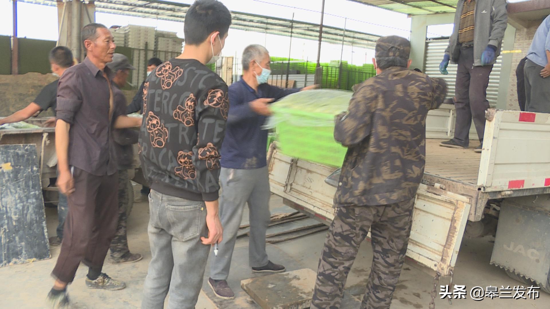 ������ʲ������������߲˴���������