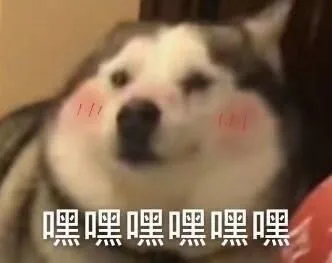 深圳寄宿学校（干货整理）