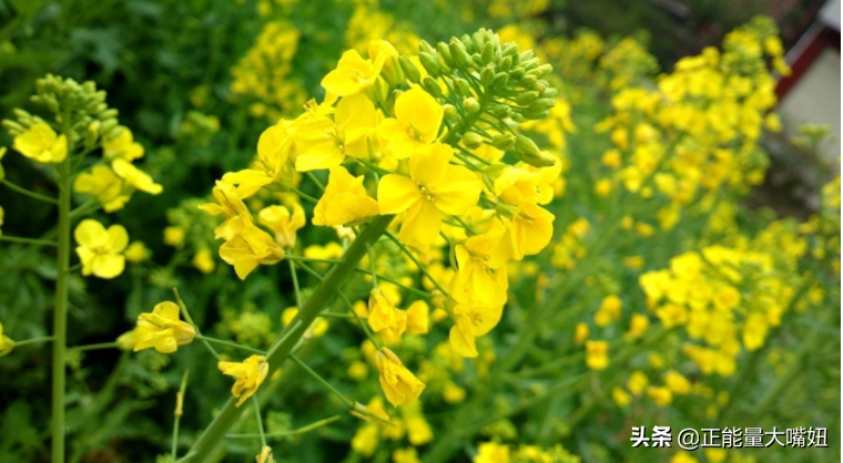 勇于担责：坚定面对个人过失，勇敢承担责任的行为典范