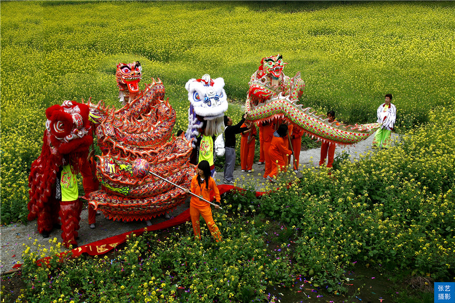 阳春三月，广东石门油菜花田乡村美，春天赏花拍照踏青好去处