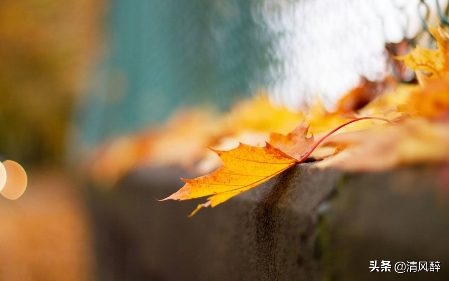 成熟有格局的说说