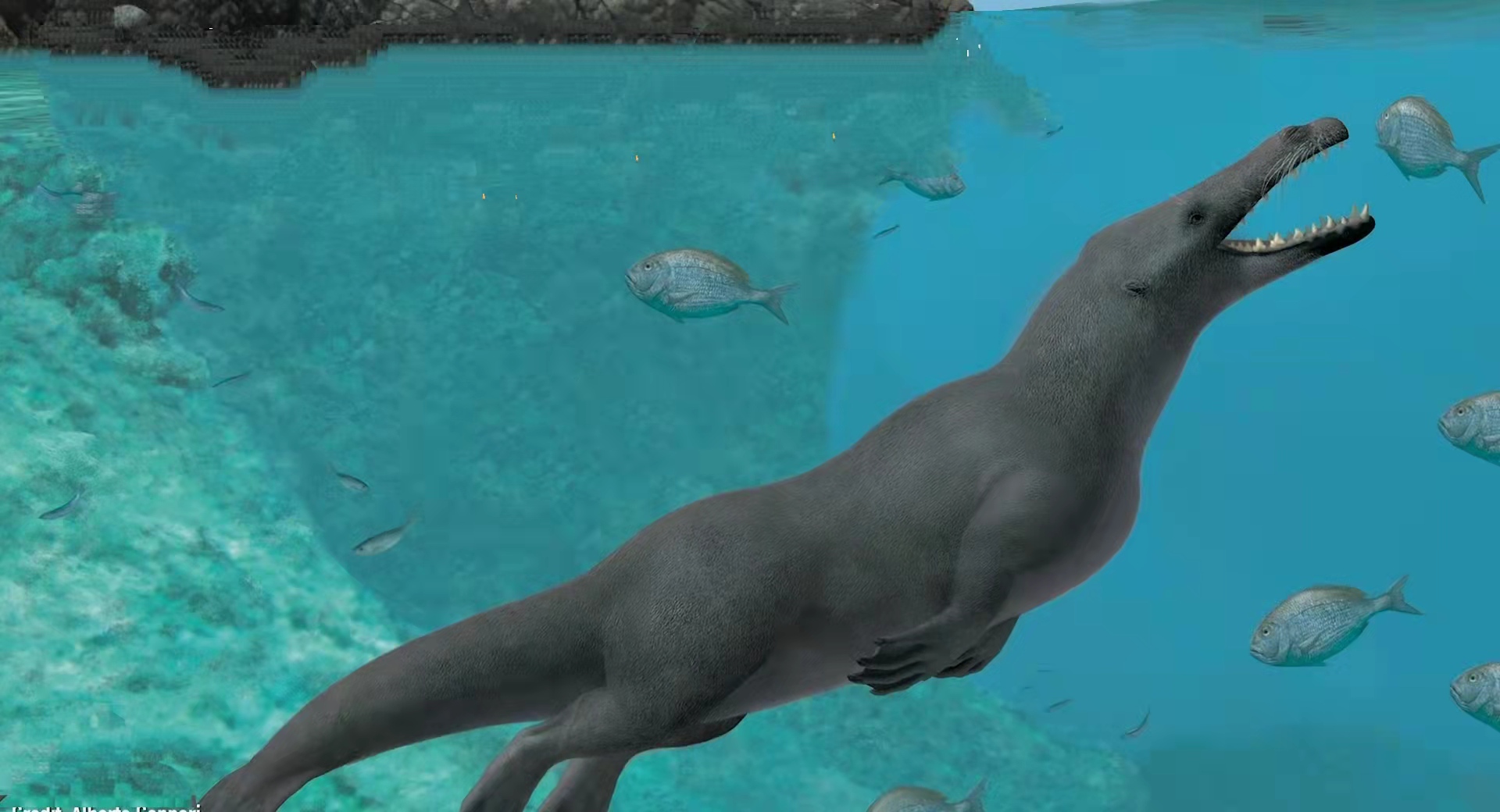 尖牙利齿身长17米,3600万年前海里的"龙王"