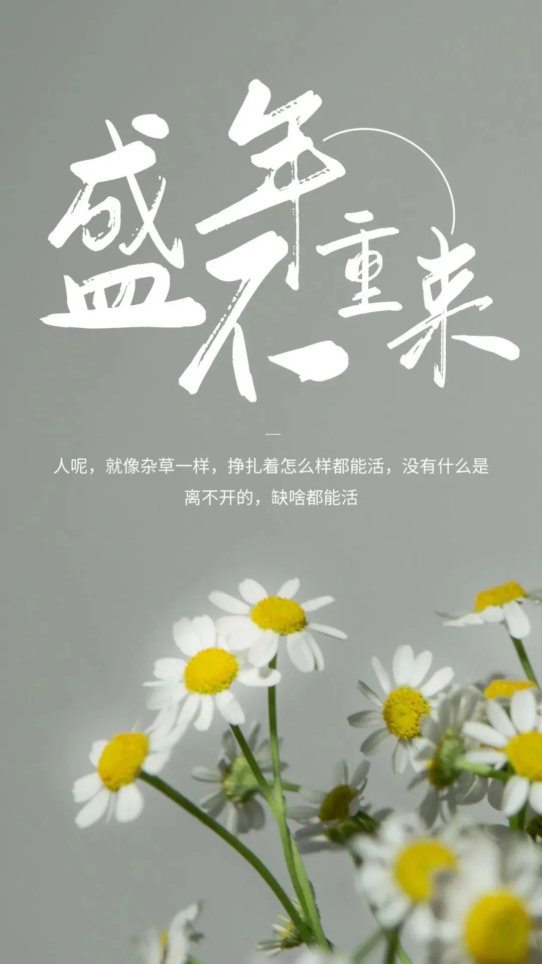 那么成果就会是第一个选择辜负你的,不要去否定你自己的过去,也不要用