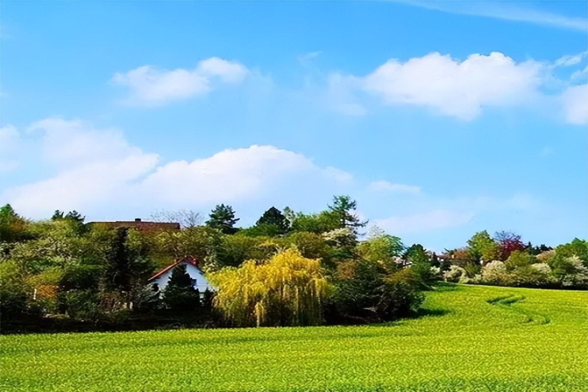 慢下来体验海南温暖惬意的旅居风光