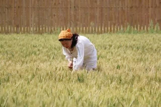 女博士江宇虹，放弃高管当农夫，年收入破亿！世界500强找她合作