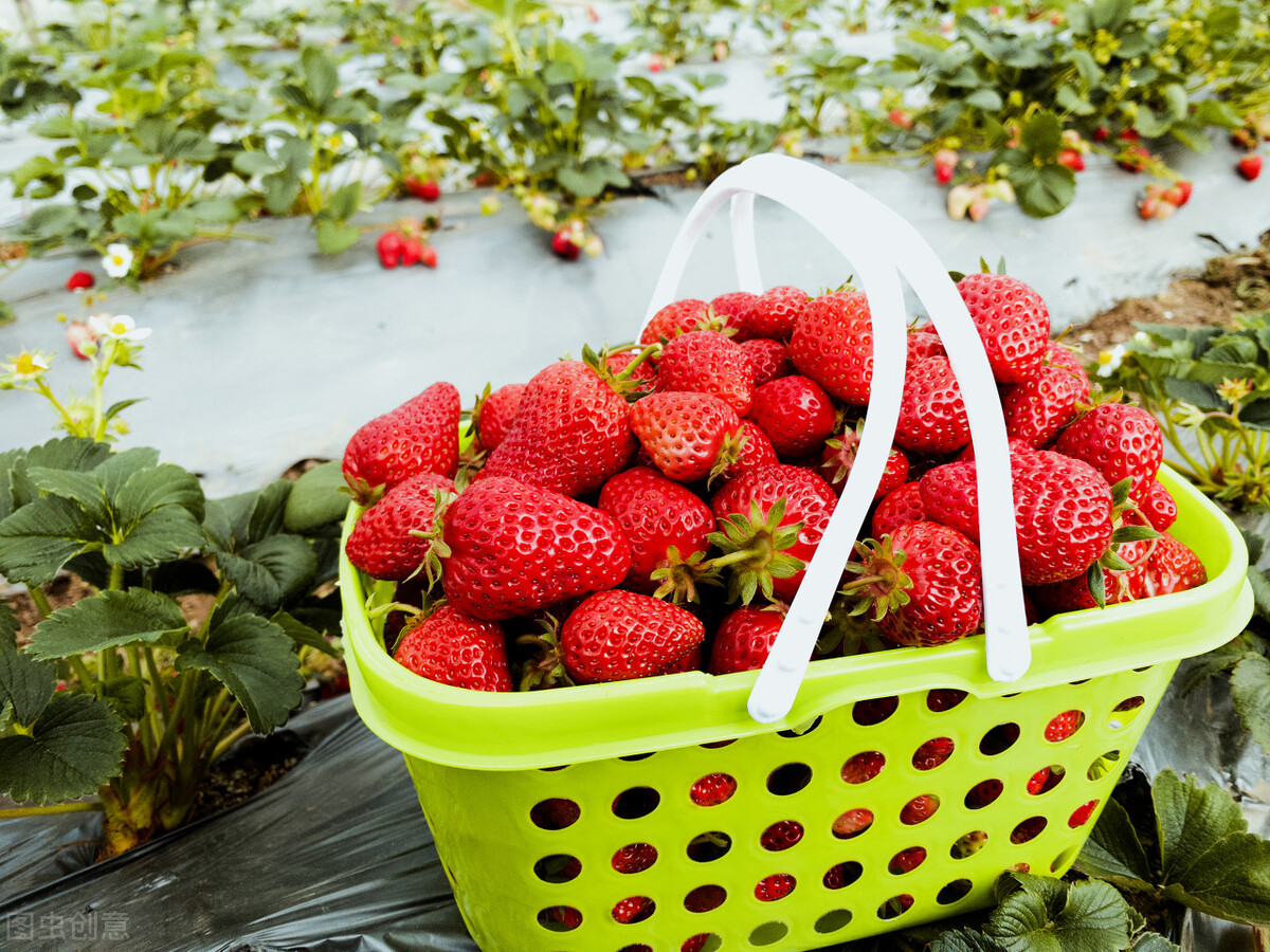 美食诗词鉴赏：美食入诗，不负人生不负胃