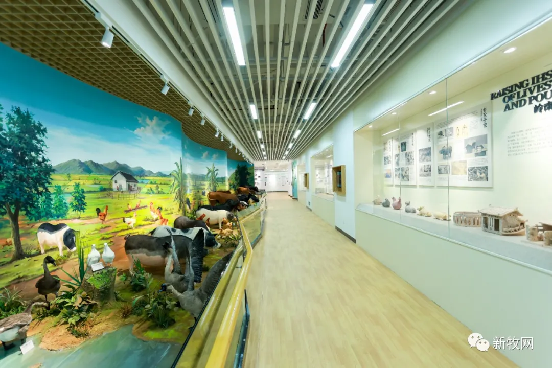 再也不用担心广东土猪土鸡会灭种了！投资5000万元的广东省畜禽种质资源库建成投入运行