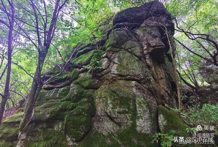 來此處踏青，不負(fù)春光不負(fù)卿