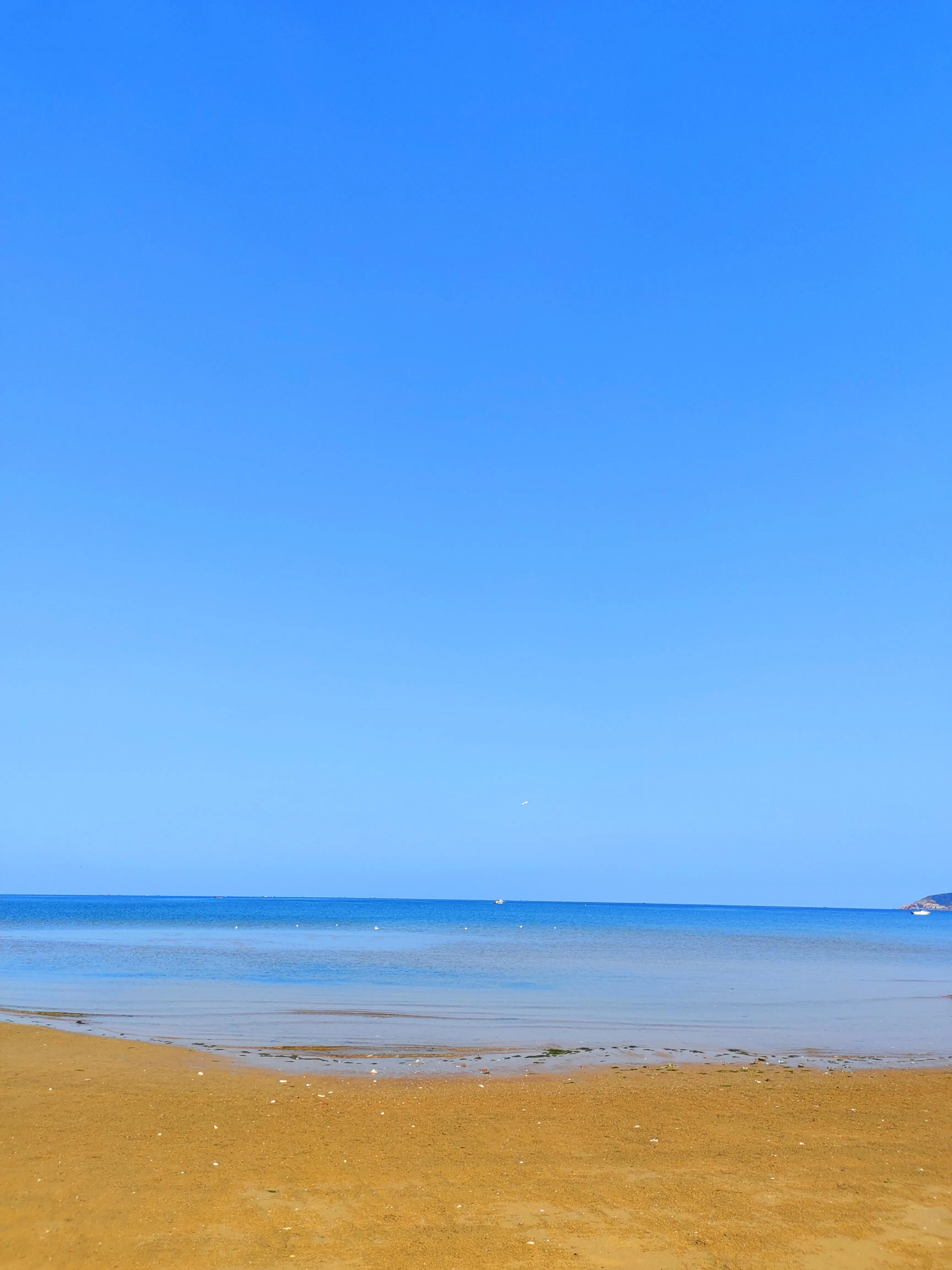 水天一色间，问一声那海鸥