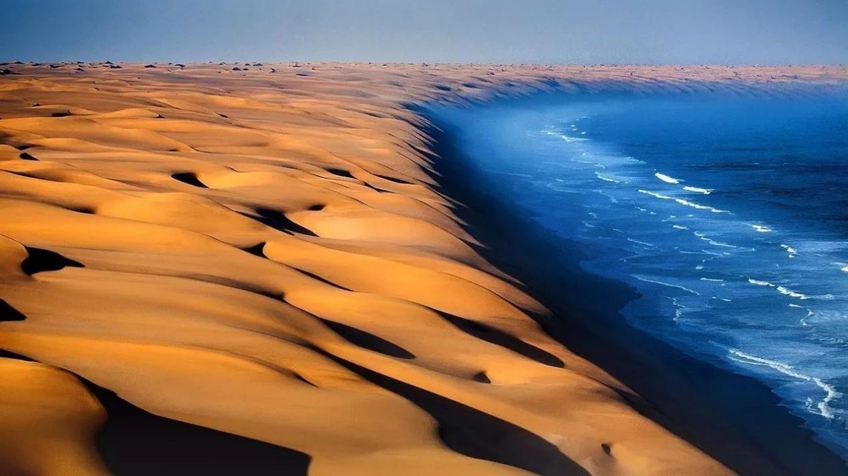 近一亿岁的纳米布沙漠，8000年无人敢入，生物如何在里面生存？
