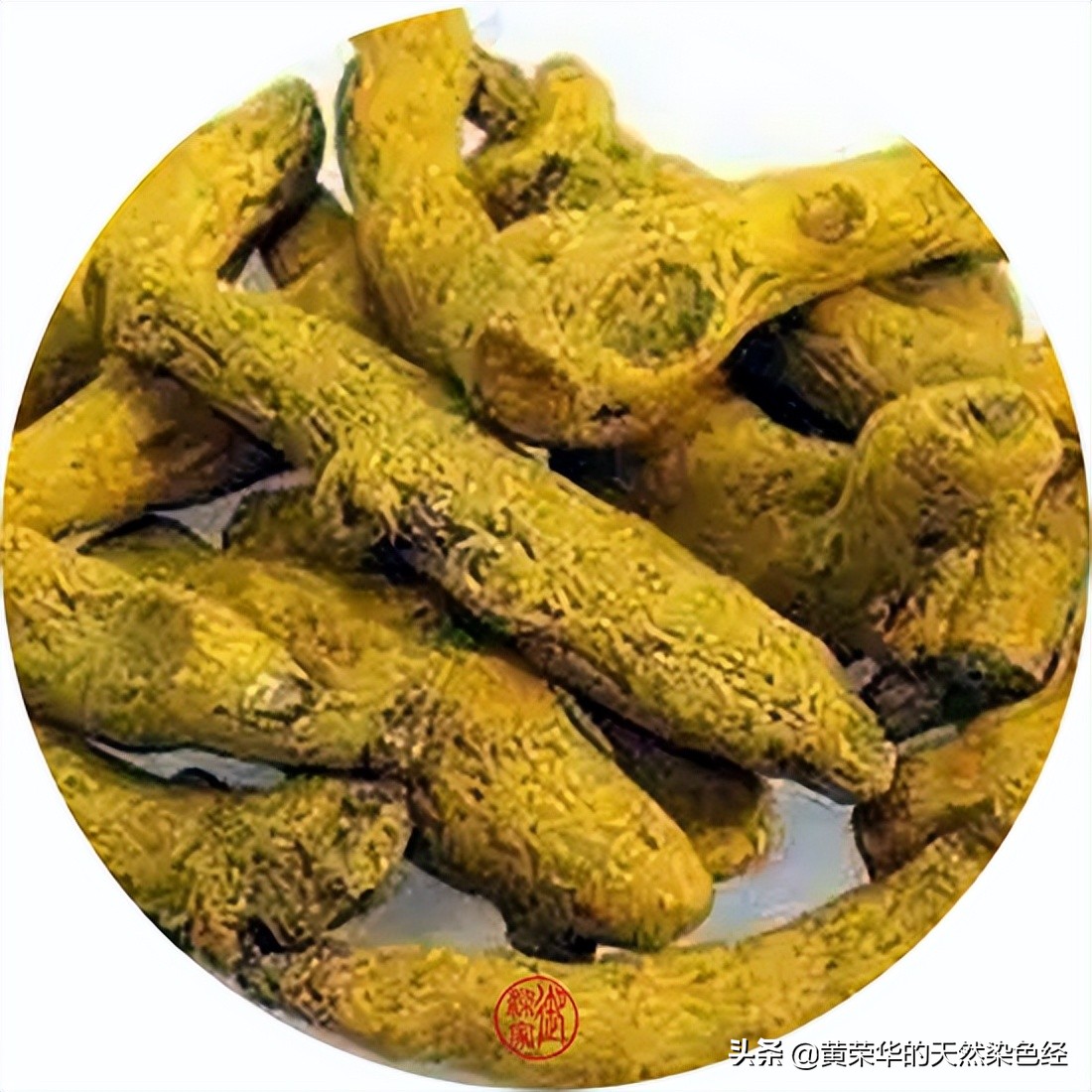 中国传统色 姜黄 网络知识