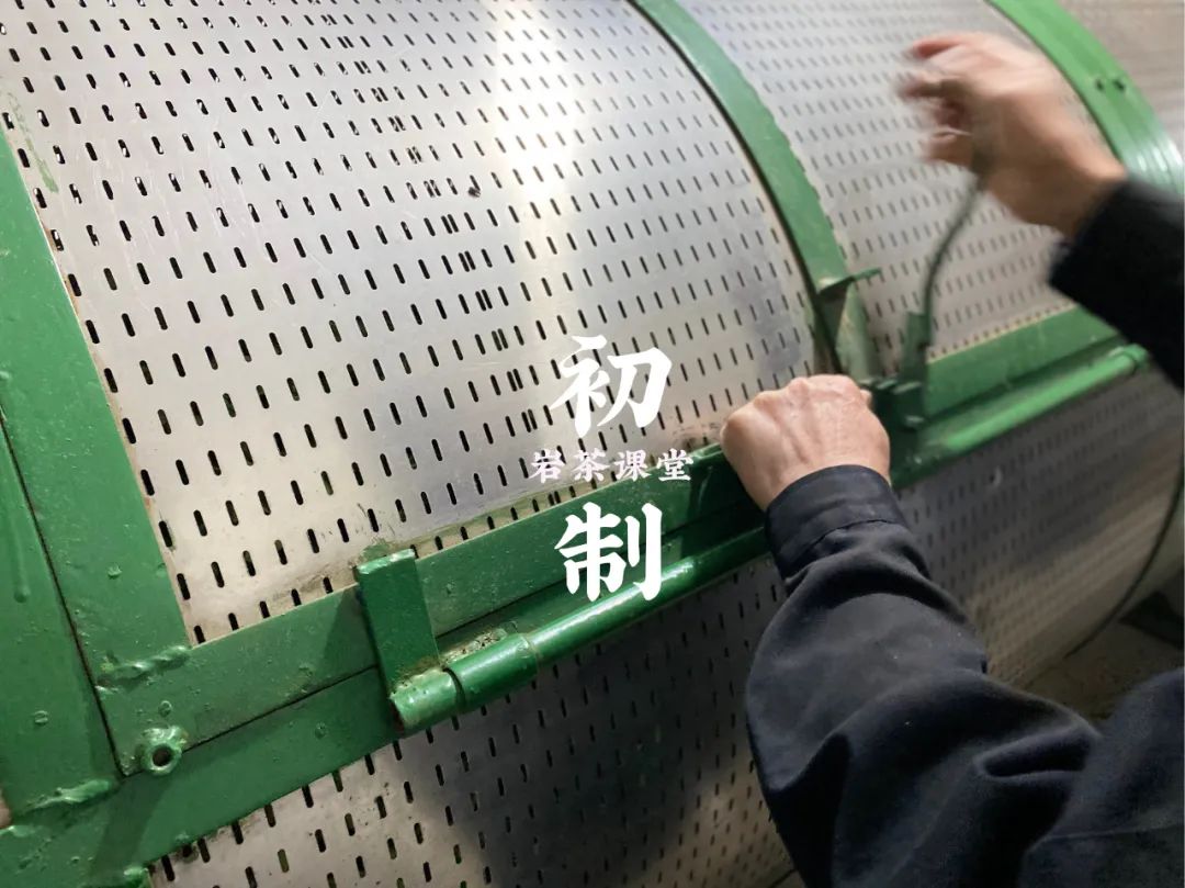 岩茶里，肉桂怎么区分好坏？听听老茶客的实话，都是踩坑后的血泪