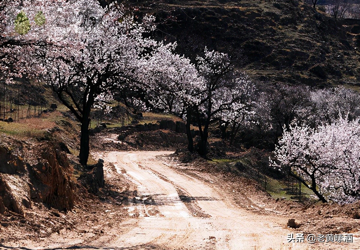 河北徐水是“名酒产地”，为何当地人都讨厌？河北人：假酒太多