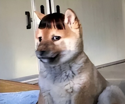 微软爸爸太给力，仰卧起坐的暴雪又活了