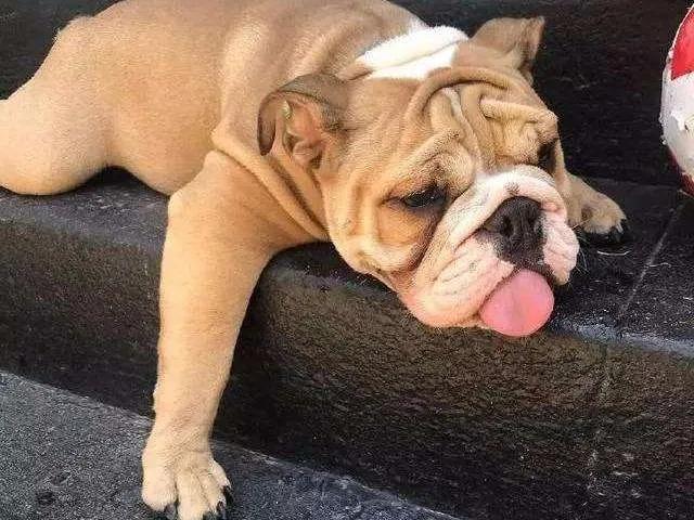 高温天气幽默搞笑の短句