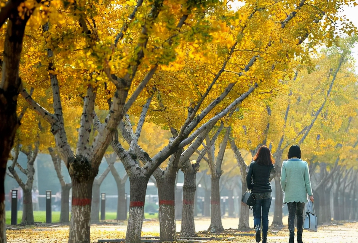 河南省体育运动学校(河南体育学院来了！由郑州大学体院分立，网友：双一流变“双非”)