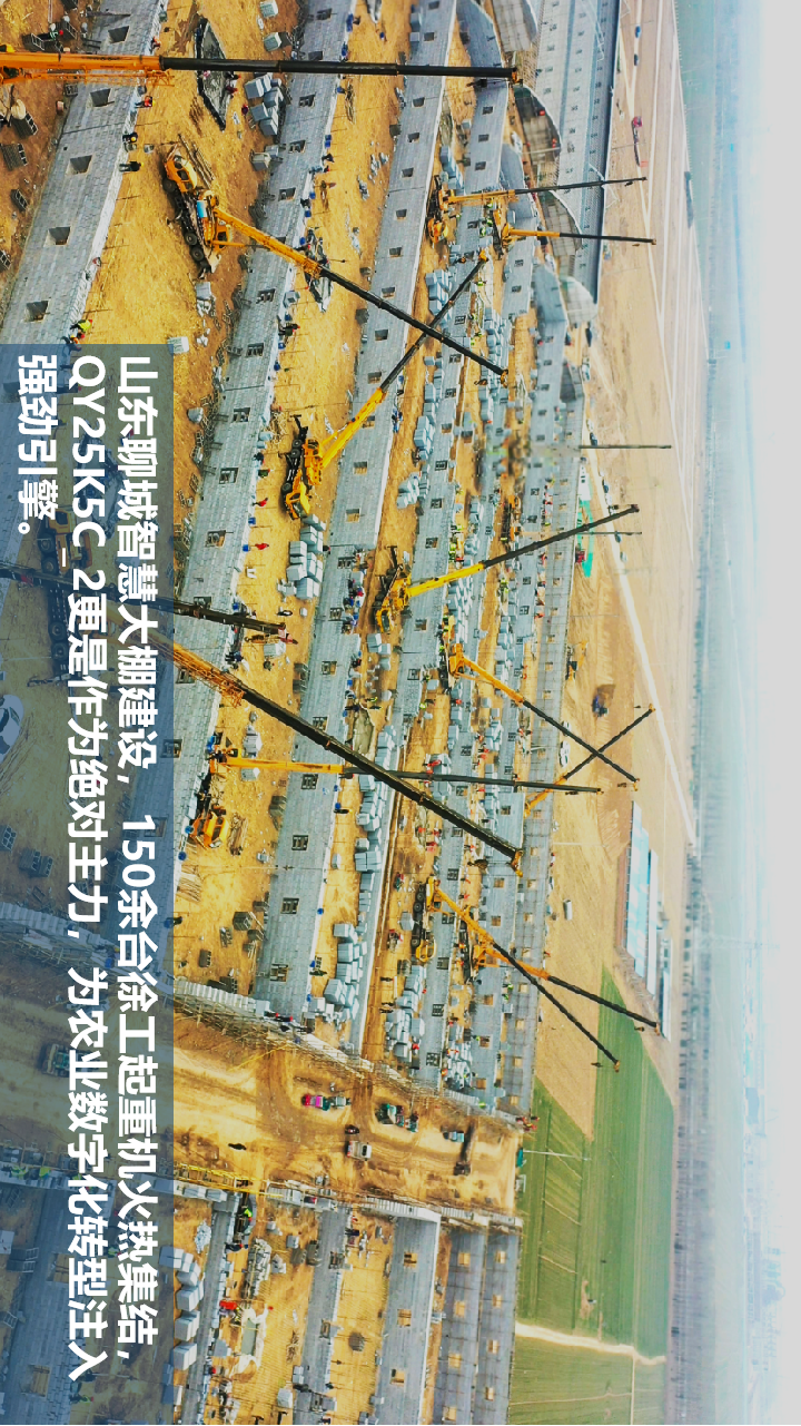 “包月神器”QY25K5C_2，有實力不懼任何吊裝
