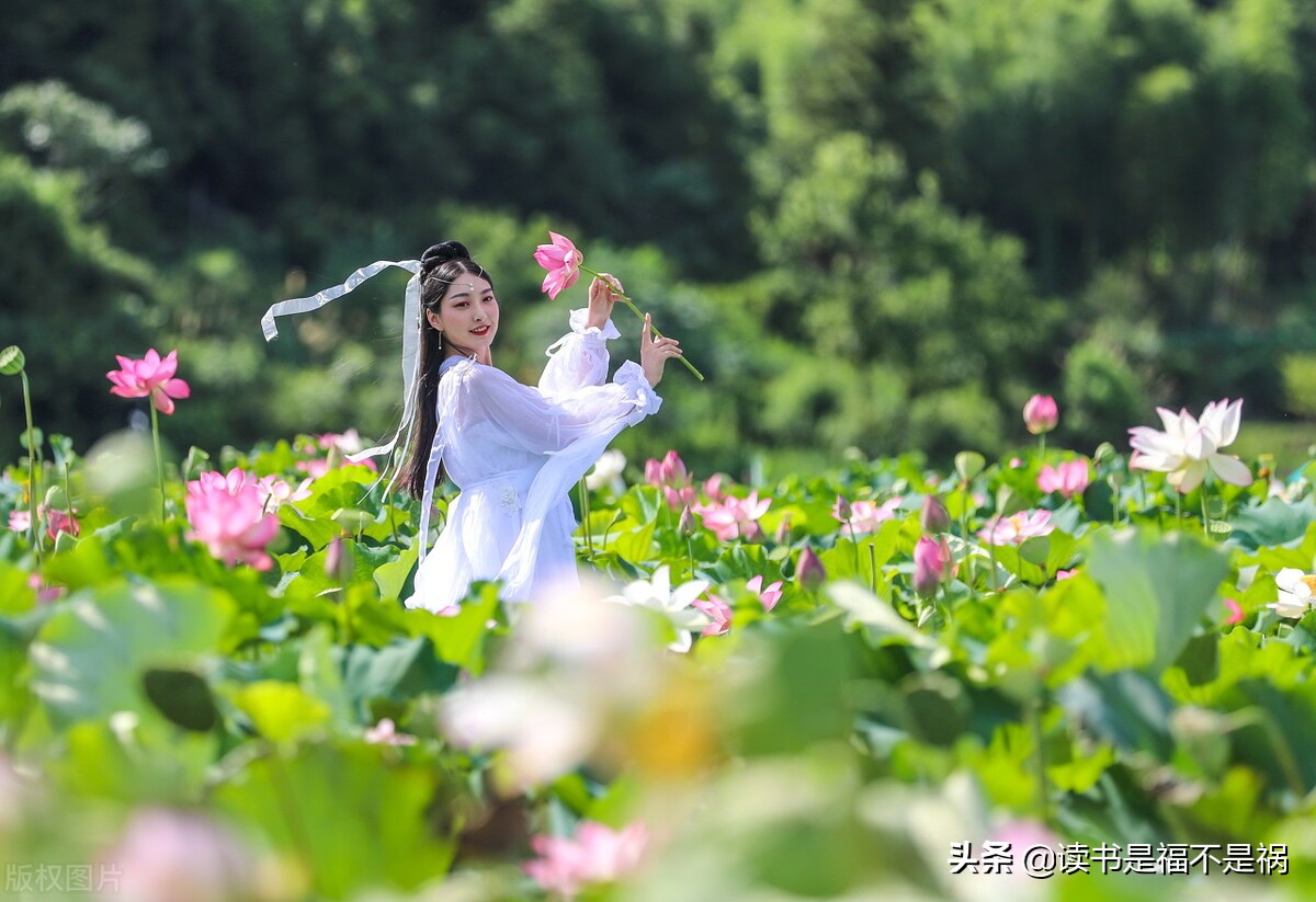 国学经典之《晋书》导读第二十四讲：列传·后妃传中