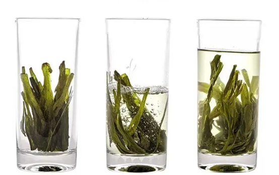 冲泡绿茶最忌讳先放茶后倒水？教你3种泡法，泡一杯好茶不是问题