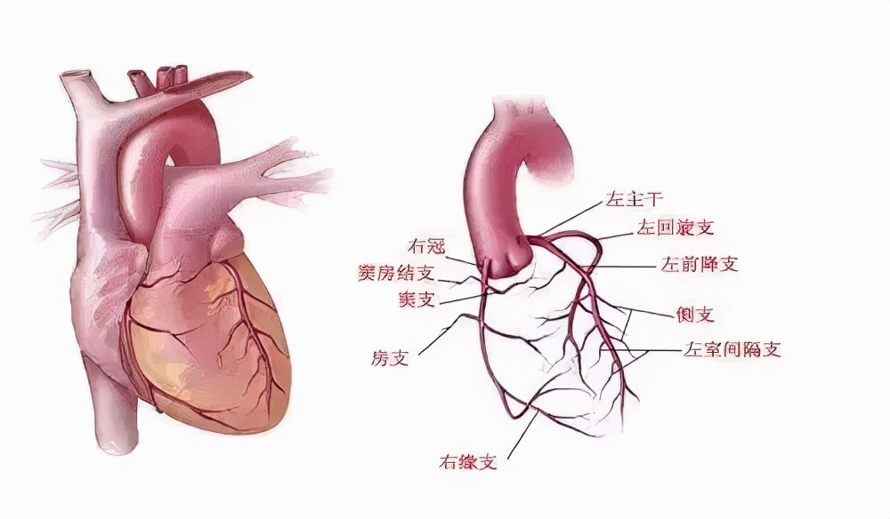 做完冠脈造影,對健康傷害很大?冠脈造影檢查對人體有哪些危害?