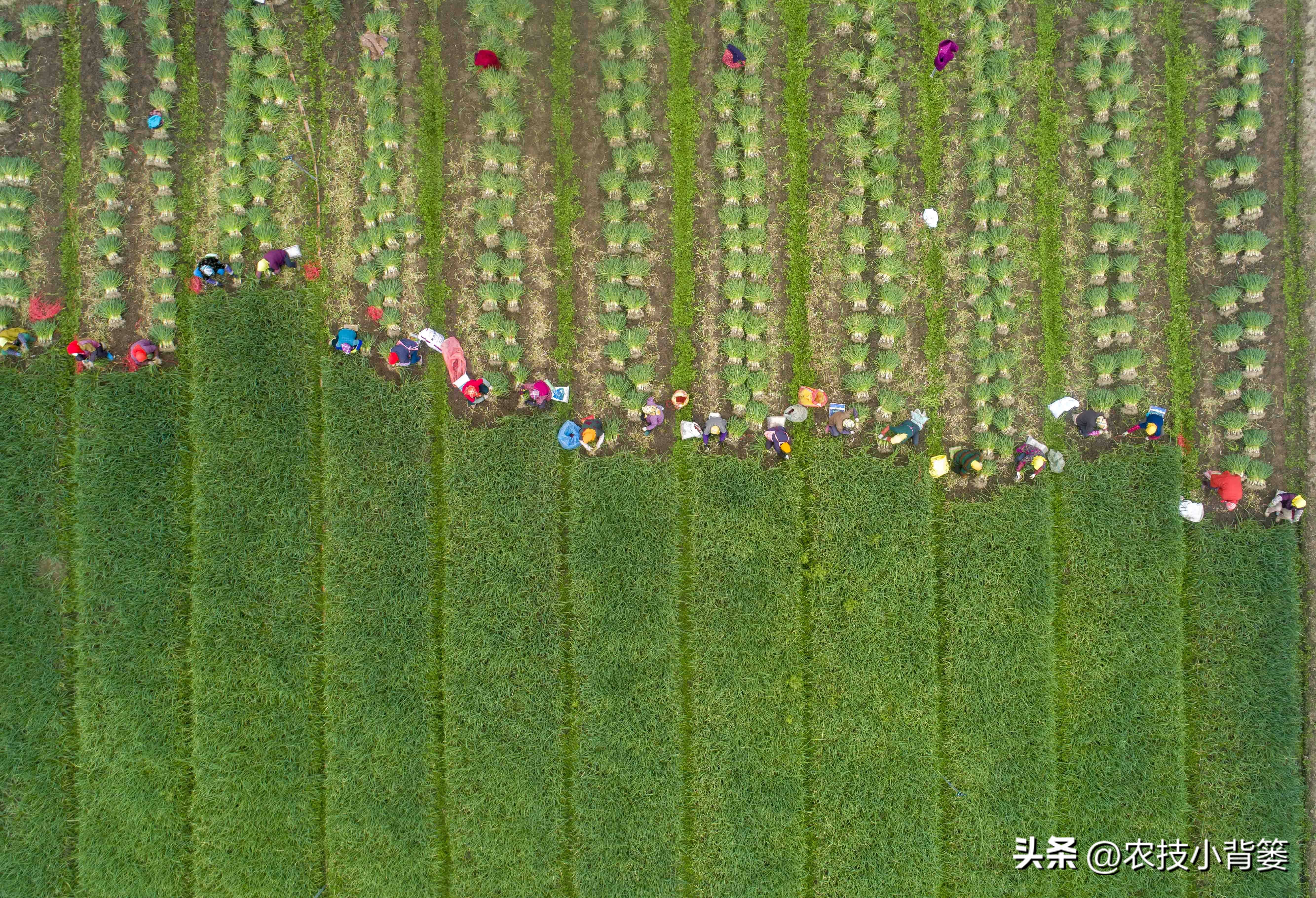 ִеȷִе(zheng)ȷֲ̨ˣ-9ͼƬ(pian)-ʳƷе