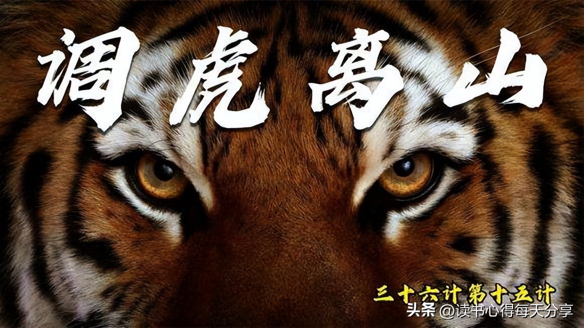 调虎离山的意思 调虎离山计中文意思-泛经验