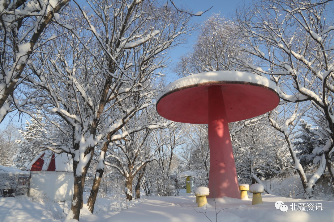 美图！三月春雪添诗意 玉树琼瑶美“出圈”