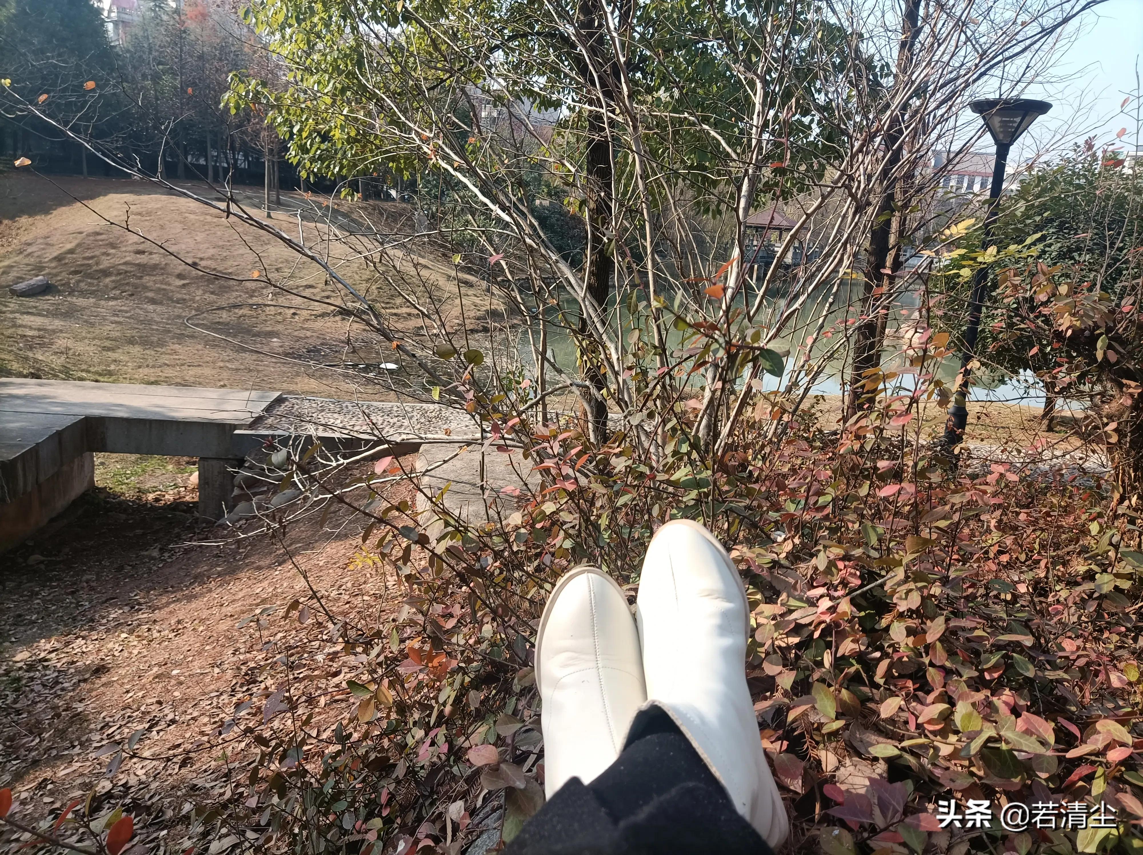 尘路过往归于尽，依心复始生如叶（文/若清尘）