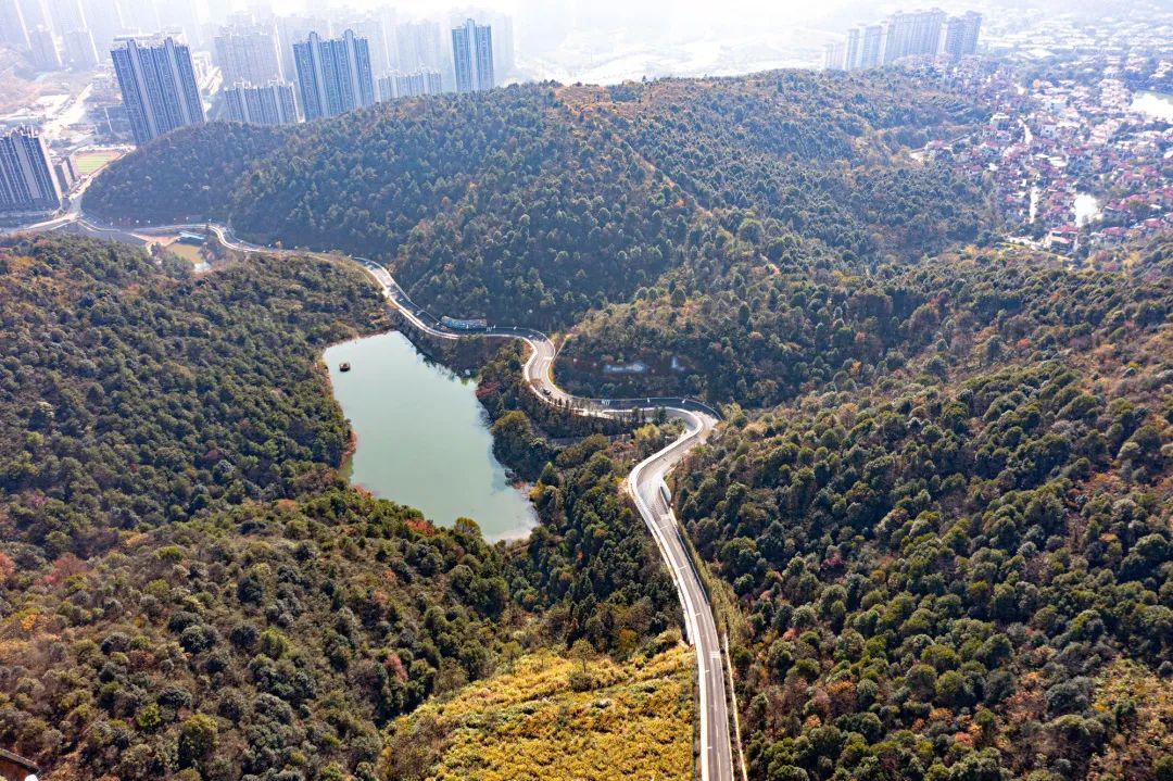 网红地再出圈！南山·天岳成为抖音&追光影视新剧开机举办地