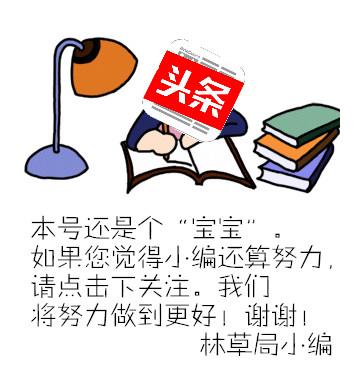 森林草原防火|图解:全国进入森林防火期，野外遇到林火如何避险？