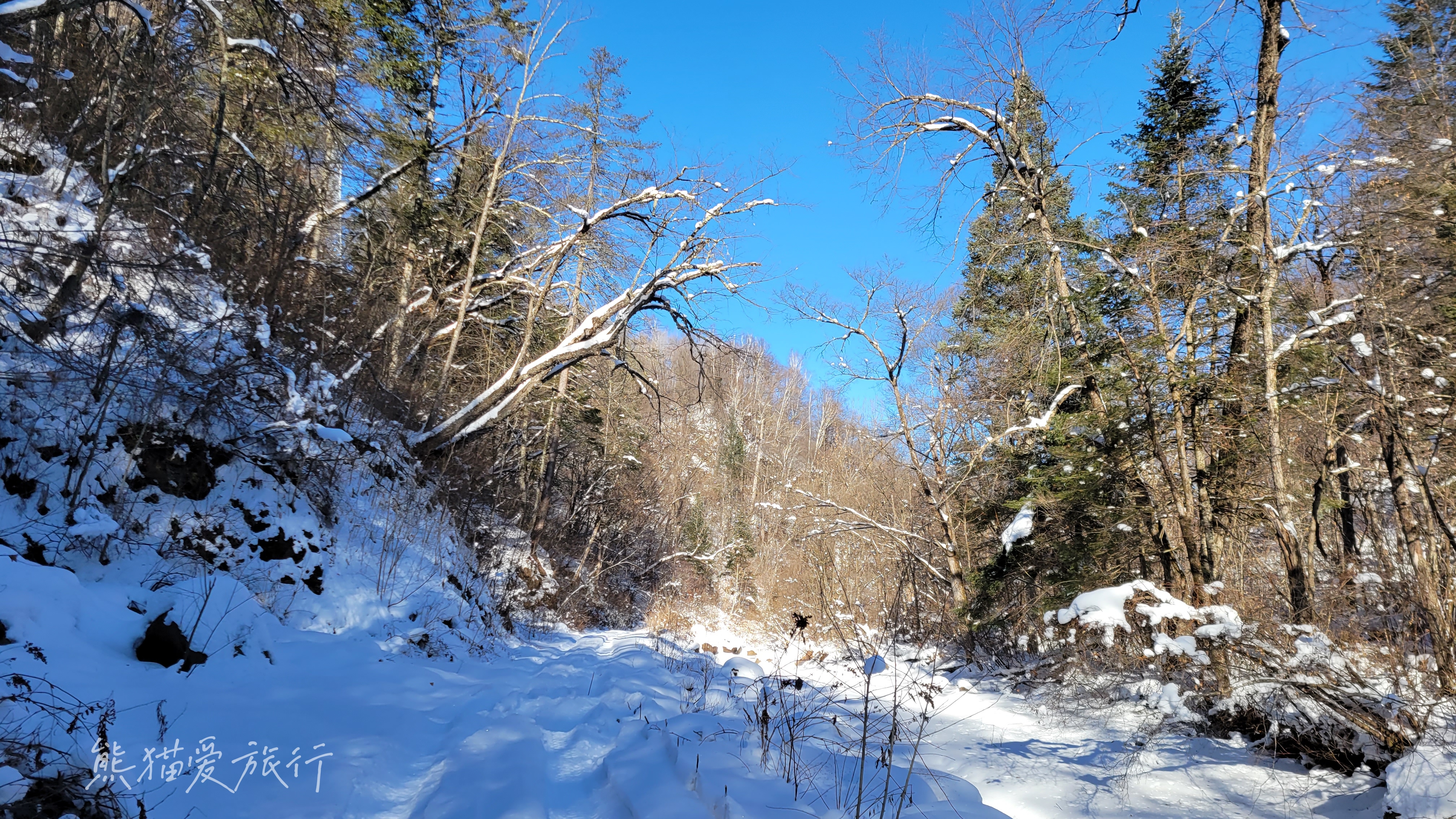 不想辜负这个冬天！就来这儿，滑雪冰钓汤泉雾凇漂流UTV穿越