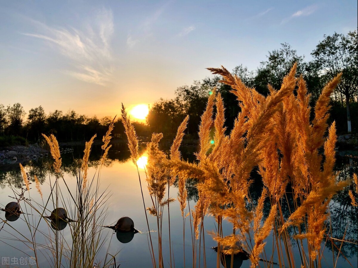 共赢人生智慧：利他，是最高境界的利己；共利，才能共赢