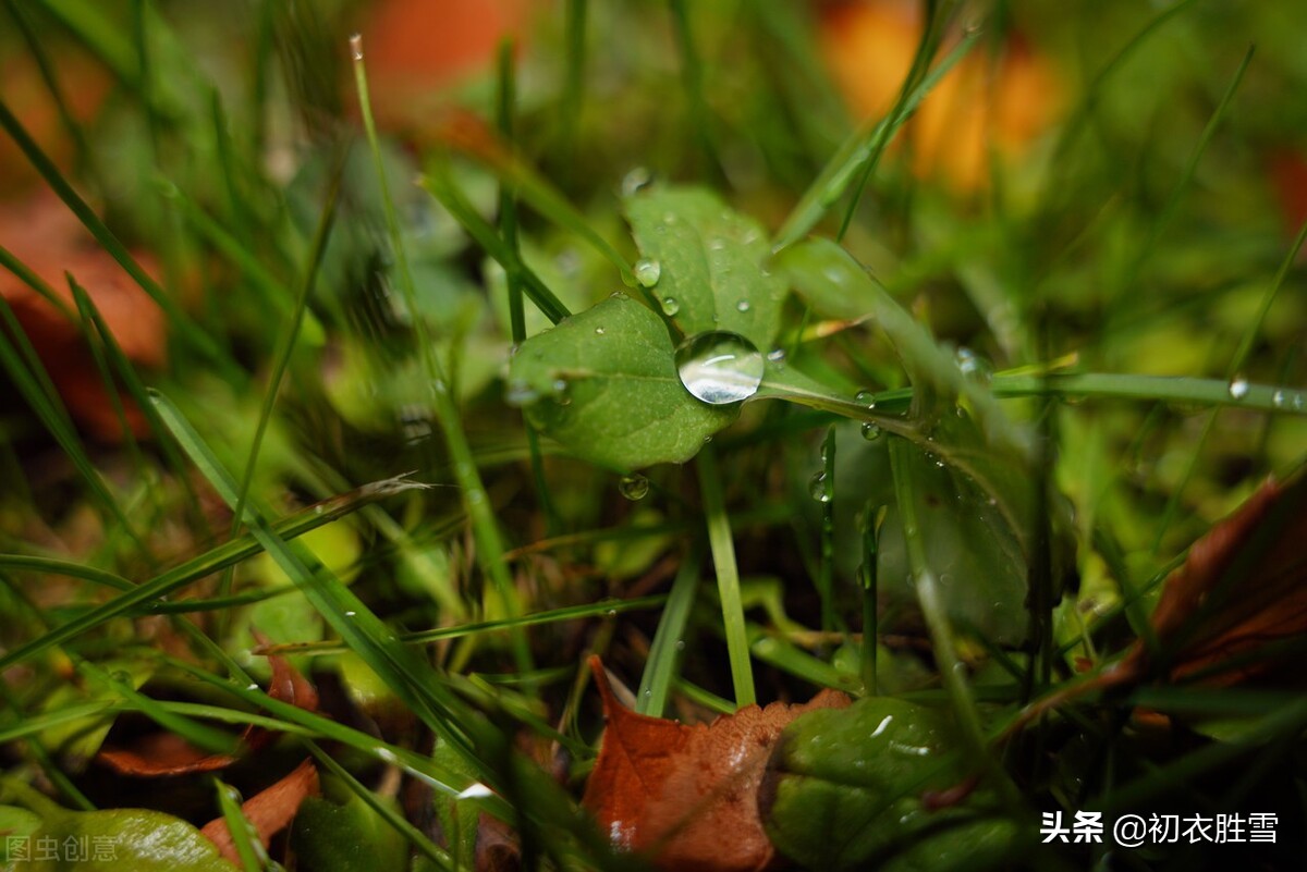 冬天下雨天的心情经典句子