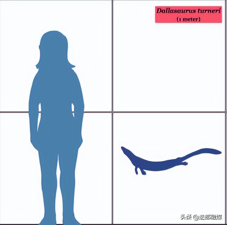 侏罗纪世界3上映，顶流沧龙出场太少被吐槽？