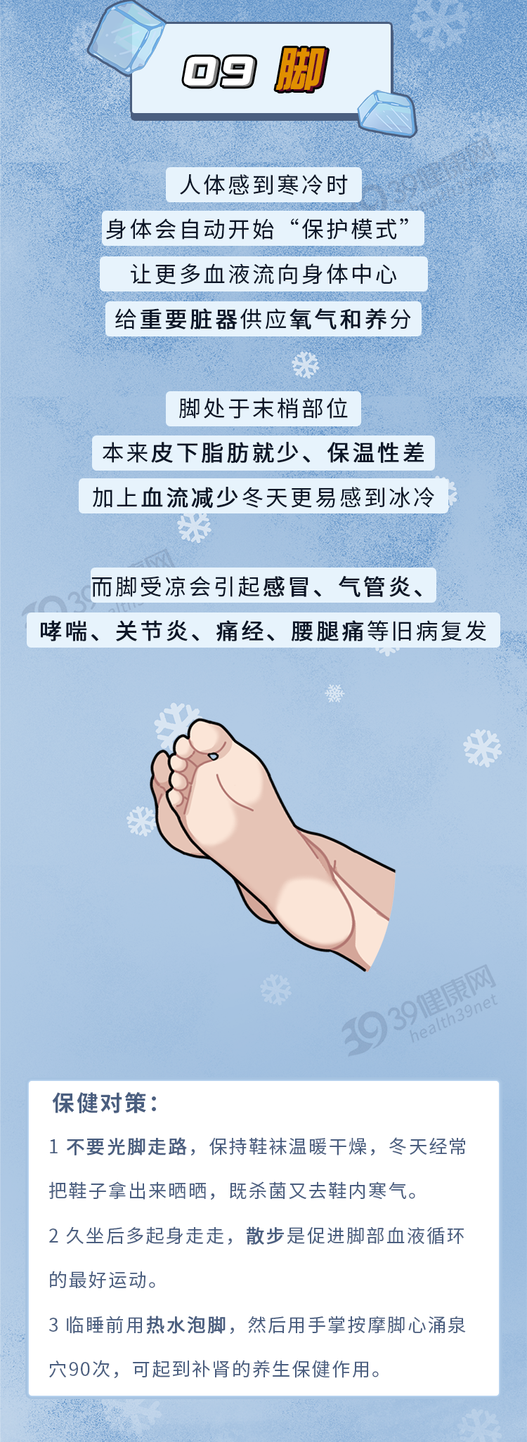 冬日轻进补，健康巧养生，多吃7种平价养生食材，祛湿健脾好过冬